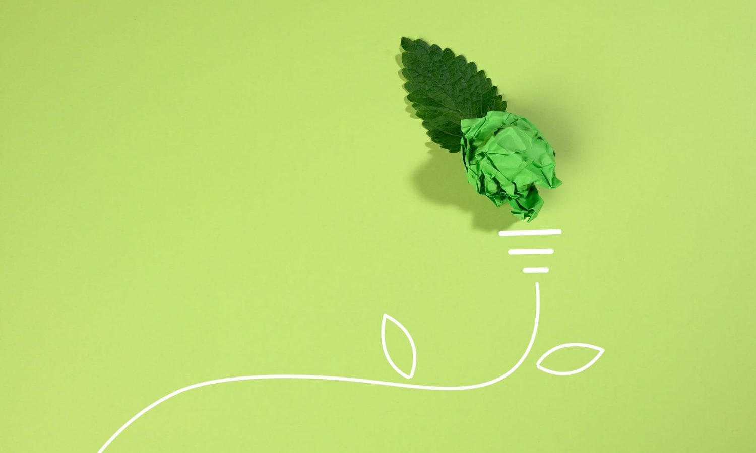 Crumpled sheet of paper and a green leaf on a green background